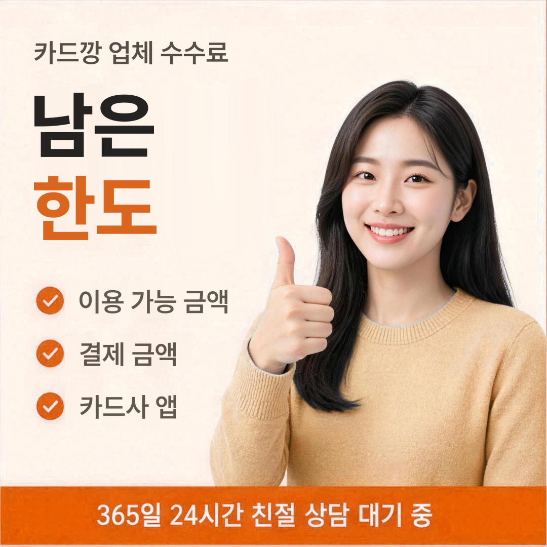 다음머니 카드깡 업체 수수료 남은 한도 확인 안내 배너 이미지